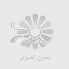 چگونه می توانیم  از خدمات سئو ویکی دمی  بهره ببریم؟